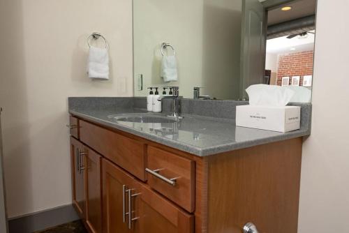 Luxury 2 Br Apartment With Modern Accents Downtown in Roanoke, USA