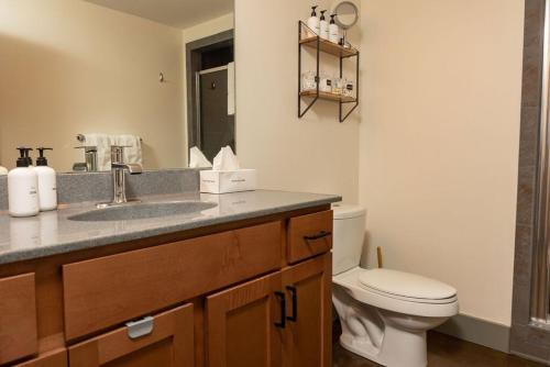 Stylish And New 1 Br Loft Apartment Right Downtown in Roanoke, USA