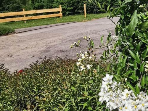 Cozy apartment near the forest in Mark Cozy apartment near the forest in Mark