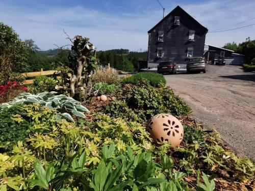 Cozy apartment near the forest in Mark Cozy apartment near the forest in Mark