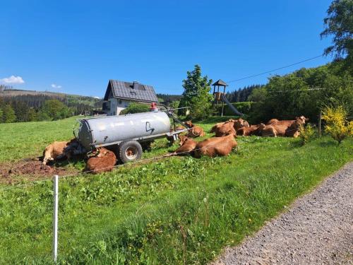 Cozy apartment near the forest in Mark Cozy apartment near the forest in Mark