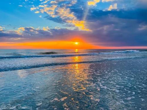 Sunny Shores Retreat 6 in Indian Rocks Beach