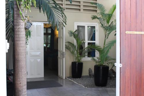 ブルー ライム ホテル