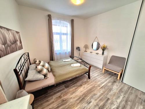 Apartment Emma - Old Town, Bratislava (photo 6)
