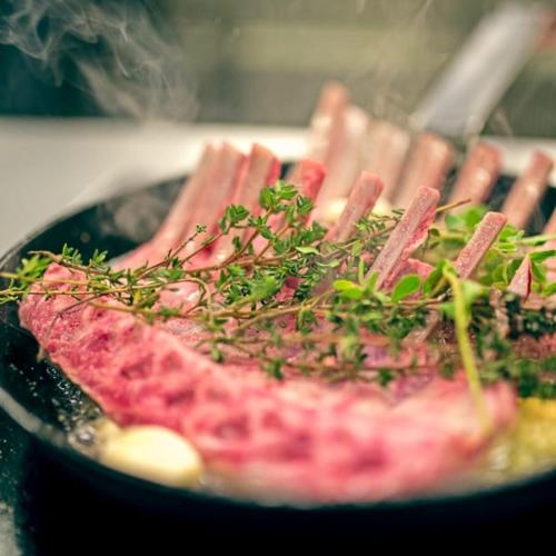 Altes Gutshaus Klink in Klink