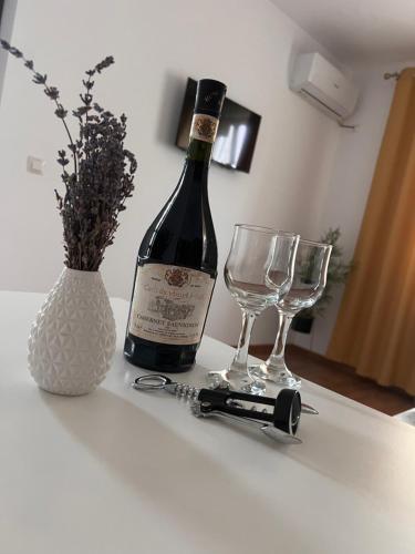 Vila RAA Huși (Vila RAA Husi) in ฮูซี่