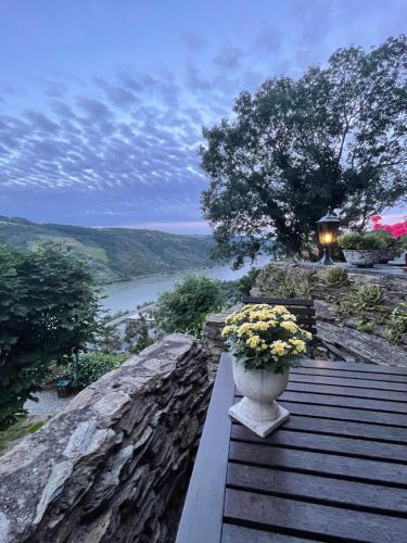 ที่เที่ยวใกล้ที่พัก, Am Apfelbaum, ein Ferienhaus zwischen Rhein und Mosel in คาสเทลเลาน์