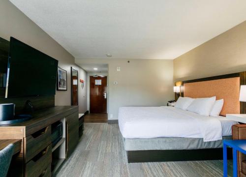 Hampton Inn Springfield - image 10