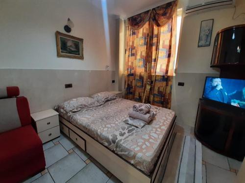 Lovely and quite appartament 1-4 5Maji, Tirana (foto 7)