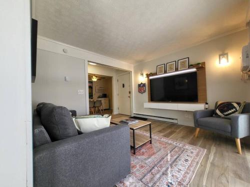 Newly Renovated Unit By The Football Hall Of Fame in Canton, USA