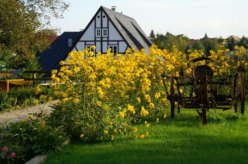 SPA-Resort Landlust in Dresden - image 12