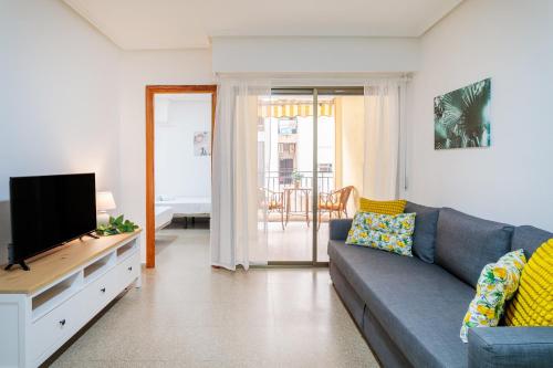 Sunflower Valladolid