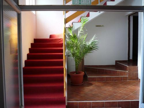 Motel Stara Vrba - image 3