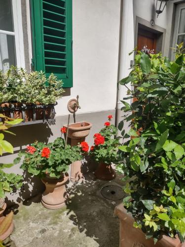 Benvenuti nel paradiso in città - image 9