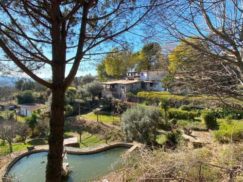 Quinta de Souto Velho in โมยเมนตา