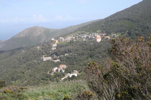 Hotel Le Saint Jean - image 11