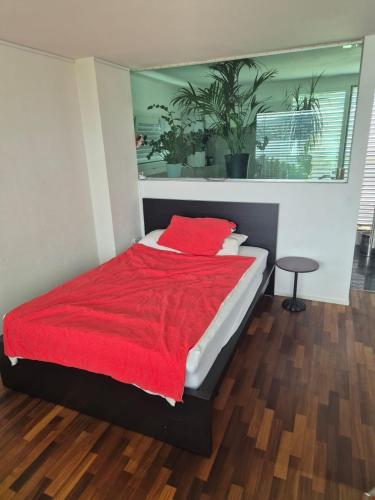 Zürichsee, Privatzimmer atemberaubender Aussicht, Zürich (photo 10)