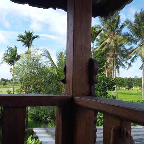 Surrounding environment, Bujak Permai Villa Kangkung in Selebung