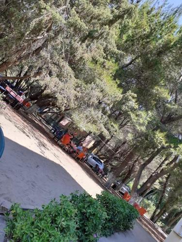 Divjaka Park in 迪夫亞卡