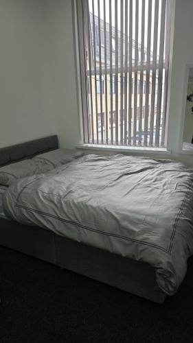 Studio Flat 1 Nelson Town Centre