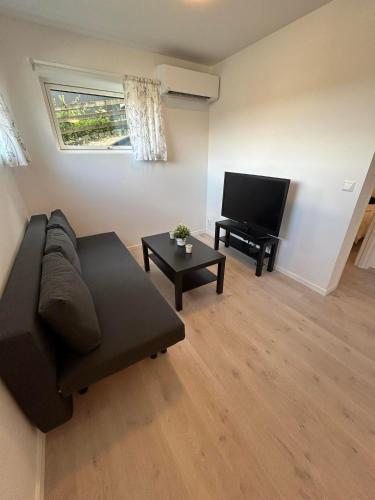 Temis apartment, private new 1 bed room and 1 living room with sofa bed and lagre kitchen, share with nobody, Oslo (photo 10)