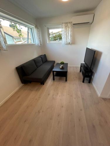 Temis apartment, private new 1 bed room and 1 living room with sofa bed and lagre kitchen, share with nobody, Oslo (photo 8)