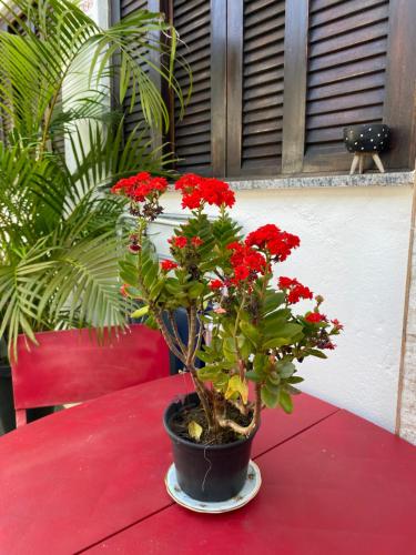 Chalé Rochat Maresias Chalé Rochat Maresias