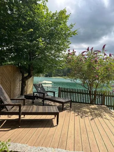 Seerose in Walchensee, Deutschland