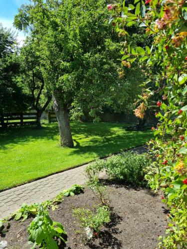 Holiday Home image 10