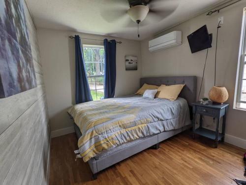 Walk to Washington Park, Pet-friendly, Backyard in Springfield, USA