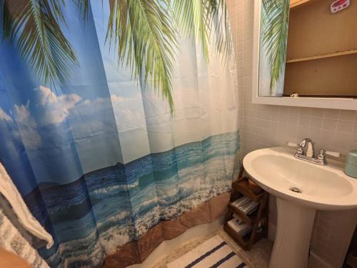 Walk to Washington Park, Pet-friendly, Backyard in Springfield, USA