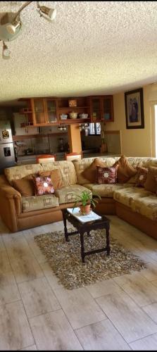 Relax Total cómodo y familiar (Relax Total comodo y familiar) in ลากอนเซปซิออน