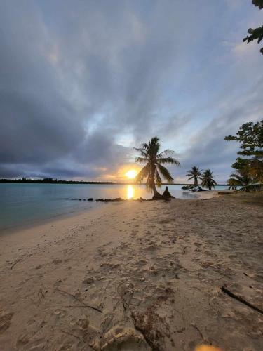 Taria camping in 마우피티 섬