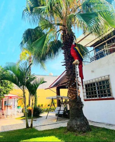 Residencia Mirenick in Cuautlixco, Mexico