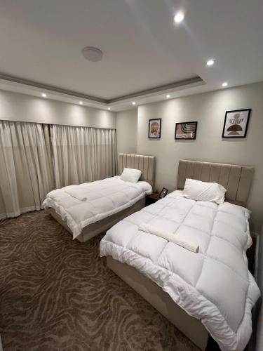 Queen of Zamalek 3BR apt - image 5