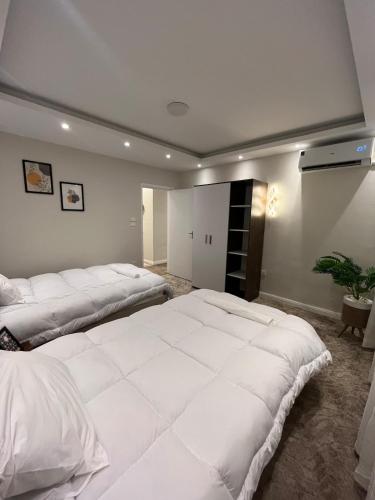 Queen of Zamalek 3BR apt, Cairo