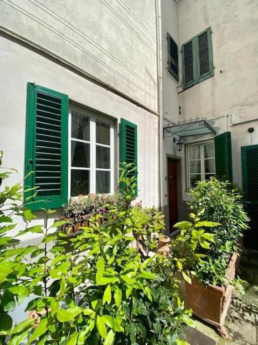 Benvenuti nel paradiso in città - image 13
