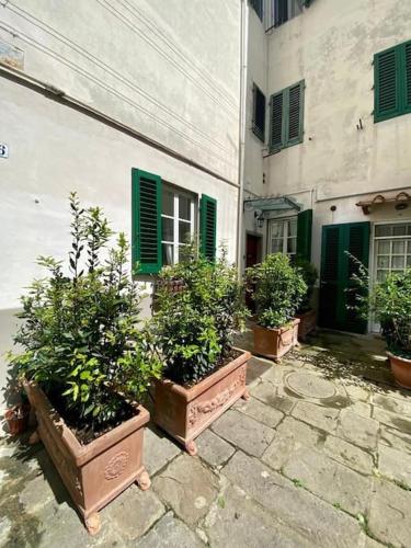 Benvenuti nel paradiso in città - image 13