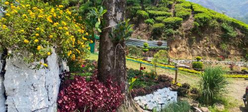 Kert, Munnar home stay in Munnar