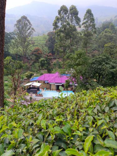 A környék, Munnar home stay in Munnar