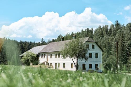 Viesnīcas āriene, Auszeit am Kamp - Ferienhaus Rametsteiner in Arbesbach