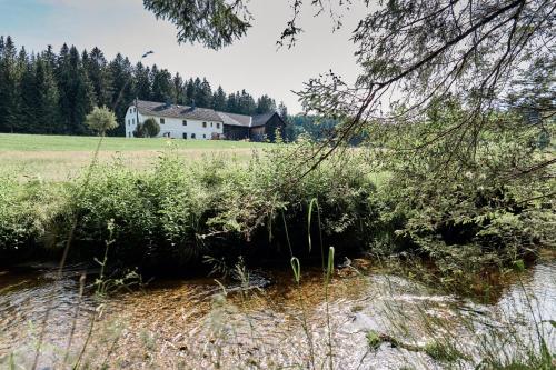 Skats, Auszeit am Kamp - Ferienhaus Rametsteiner in Arbesbach