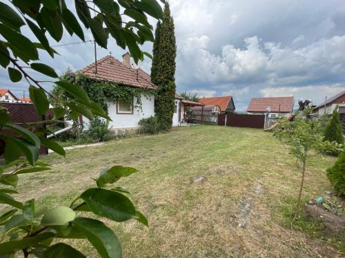 Gergely Country Home-vidéki otthon - Location saisonnière - Nicoleşti