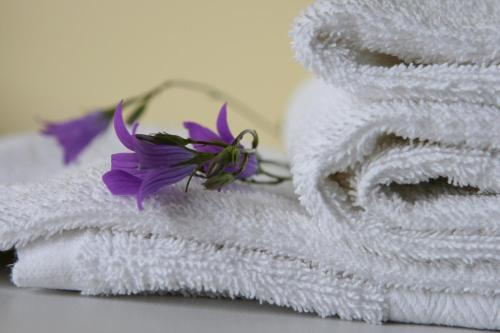 Hotel Audenis - image 4