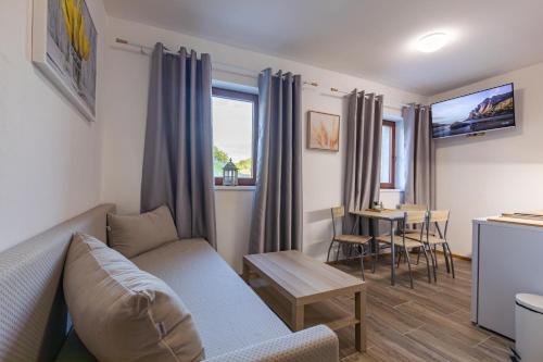 Deluxe One-Bedroom Apartment