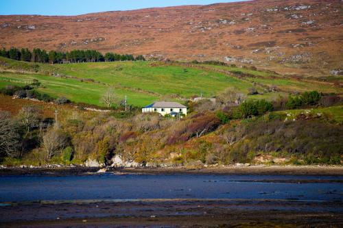Sharamore House B&B - image 11