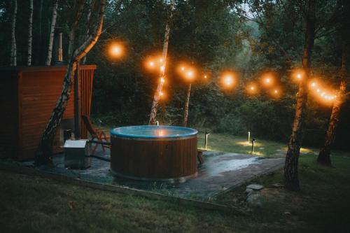 Omgivelser, Domki W Sam Las & SPA Lubenia in Lubenia