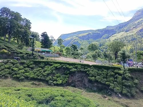 A környék, Munnar home stay in Munnar