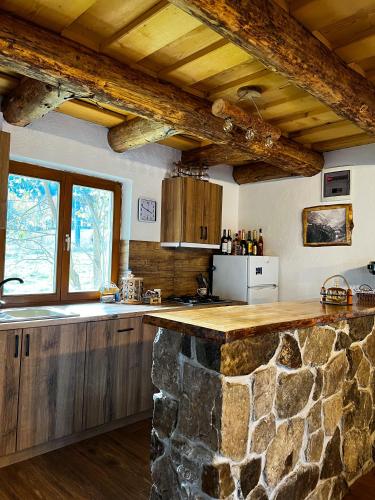 Cabana Zărnișoara (Cabana Zarnisoara) in Lunca Vişagului