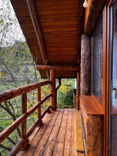 Cabana Zărnișoara (Cabana Zarnisoara) in Lunca Vişagului